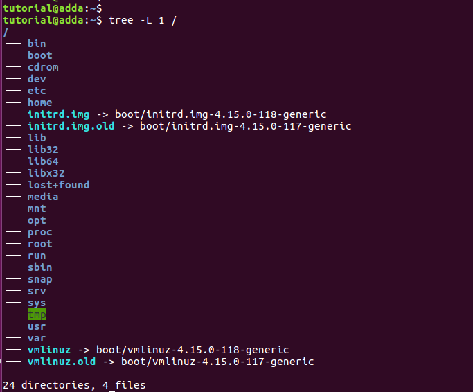 Root directory structure